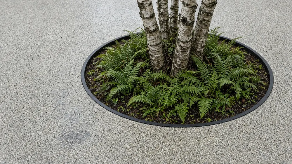 Example image: a silver-grey resin-bound surface around a tree pit with a multi-stem birch